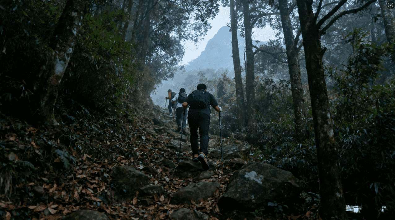 袋鼠加速器速度怎么样？实测数据全面解析